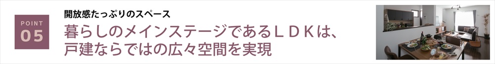 暮らしのメインステージであるLDKは、戸建ならではの広々空間を実現